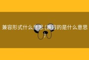 兼容形式什么意思 (兼容的是什么意思)