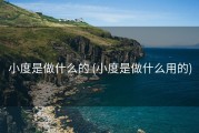 小度是做什么的 (小度是做什么用的)