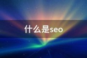 和SEO区分是什么 他们是什么的英文缩写 IPO 谁能通知我在金融畛域中 (简述seo与sem的区别)