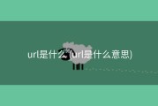 url是什么 (url是什么意思)