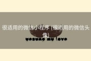 很适用的微信小程序 (很适用的微信头像)
