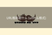 URL格局是什么 (url什么格式)