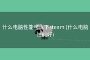 什么电脑性能可以下steam (什么电脑性能好)