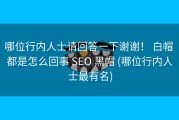 哪位行内人士请回答一下谢谢！ 白帽 都是怎么回事 SEO 黑帽 (哪位行内人士最有名)