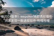 新2024版本！wepoker辅助透视插件-玩家发现一款透视软件-哔哩哔哩