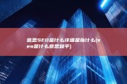 意思 SEO是什么 详细是指什么 (seo是什么意思知乎)