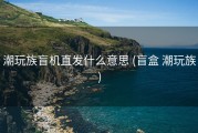 潮玩族盲机直发什么意思 (盲盒 潮玩族)