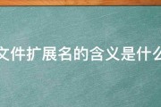 文件是什么意思 robots 网站里的 (文件是什么意思英语)