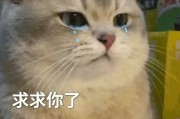 dont 求exo 英文歌词！网上有人翻唱过然而我不会扒词… baby cry