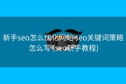 新手seo怎么优化网站 seo关键词策略怎么写 (seo新手教程)