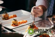 几个插件引见 SEO (几个插件引见怎么用)
