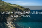 如何运营一个好网站 提升网站流量 (如何运营一个抖音号)