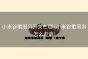 小米谷歌服务开关在哪 (小米谷歌服务怎么开启)