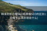精准剖析白帽SEO和黑帽SEO的区别 (白帽子三项原理是什么)