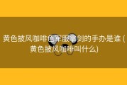 黄色披风咖啡色军服拿剑的手办是谁 (黄色披风咖啡叫什么)