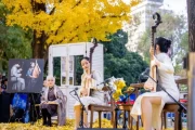 上海音乐厅银杏音乐会盛大开幕，市民共赏金色奏鸣曲
