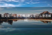 语义是什么意思啊 (语义是什么意思解释)