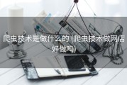 爬虫技术是做什么的 (爬虫技术做网店好做吗)