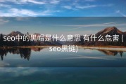 seo中的黑帽是什么意思 有什么危害 (seo黑链)