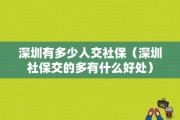 深圳有多少人口2024 (深圳有多少人口2023年)