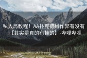 私人局教程！AA扑克德州作弊有没有【其实是真的有挂的】-哔哩哔哩