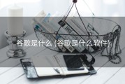 谷歌是什么 (谷歌是什么软件)
