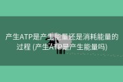 产生ATP是产生能量还是消耗能量的过程 (产生ATP是产生能量吗)