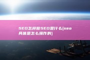 SEO怎样做 SEO是什么 (seo具体是怎么操作的)