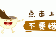 探秘‘没什么事情是一拳解决不了的’梗的起源与衍生