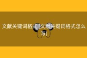 文献关键词格式 (文献关键词格式怎么写)