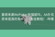 重磅来袭WePoKer有猫腻吗，AA扑克原来是真的有挂的（有挂教程）-哔哩哔哩