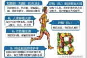 有什么作用· nofflow标签 (有什么作用啊?)