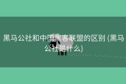 黑马公社和中国黑客联盟的区别 (黑马公社是什么)