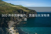 SEO 并非简单操作，苦逼站长深有体会