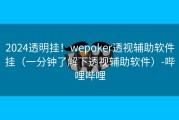 2024透明挂！wepoker透视辅助软件挂（一分钟了解下透视辅助软件）-哔哩哔哩