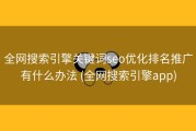 全网搜索引擎关键词seo优化排名推广有什么办法 (全网搜索引擎app)