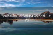 seo优化推广怎么做 (SEO优化推广方式)