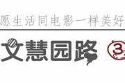 B站上大批影视资源因涉版权问题被下架
