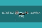 5G信息的方式是什么样的 (5g的相关信息)