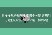 拼多多坑产和转化率哪个关键 详细引见 (拼多多坑产和dsr是一样的吗)