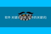 软件 关键词调词 (软件的关键词)