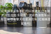 红蜘蛛是鲨鱼 胸口可以放激光 日本做的变形金刚 反动有一辆彩色油管车～有三辆 很老擎天柱是消防车 (红蜘蛛是鲨鱼吗)