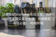 记者揭秘!WePoKer有挂没有，AAPOKER原来确实真的有挂，详细教程（有挂必备）-哔哩哔哩