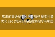 常用的高级搜索指令有哪些 搜索引擎优化 seo (常用的高级搜索指令有哪些)