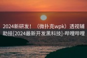 2024新研发！（微扑克wpk）透视辅助挂[2024最新开发黑科技]-哔哩哔哩