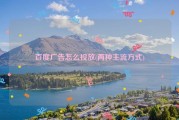 百度广告推行怎样做 不要钱规范是什么 (百度的推广广告)