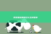 网页照应期间过长怎样回事