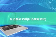 什么是宅文明 (什么叫宅文化)