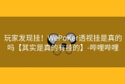 玩家发现挂！WePoKer透视挂是真的吗【其实是真的有挂的】-哔哩哔哩