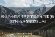 微信的小程序打不开了是怎样回事 (微信的小程序在哪里找出来)